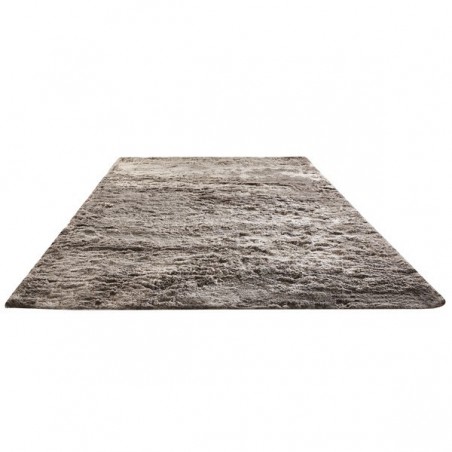 Tapis de Salon Taupe modèle Vision par Home Spirit Tapis de Salon Taupe modèle Vision par Home Spirit