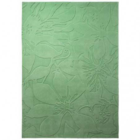Tapis Contemporain Vert Lily par Esprit Home Tapis Contemporain Vert Lily par Esprit Home