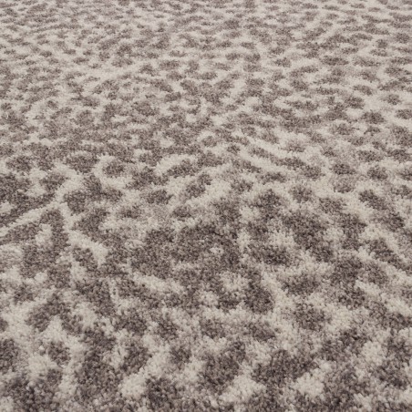 Tapis Contemporain Sky of Dots Nuts par Edito Tapis Contemporain Sky of Dots Nuts par Edito