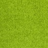 Paillasson vert uni lavable en machine par Tapis Chic Collection