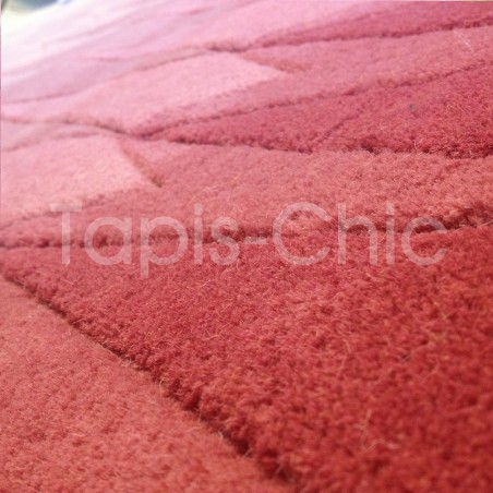 Tapis Design Rose Acacia par Linie Design Tapis Design Rose Acacia par Linie Design
