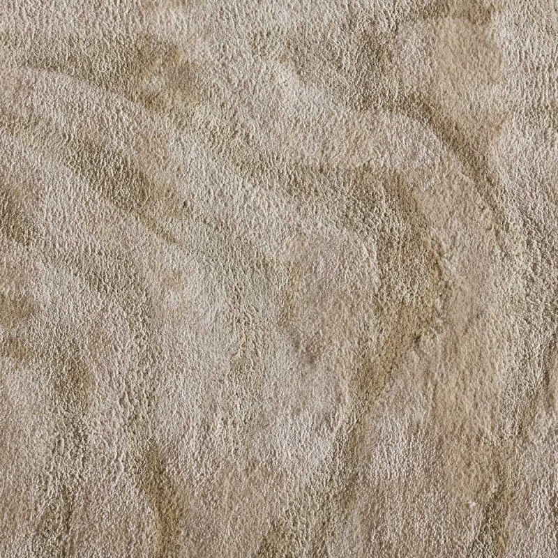 Tapis de salon zèbre Tropics par Angelo