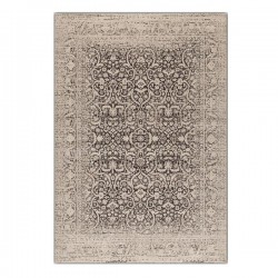 Tapis de salon Patina vintage marron par Tapis Chic collection