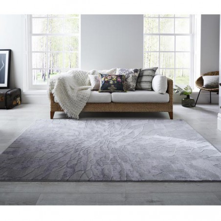 Tapis gris salon