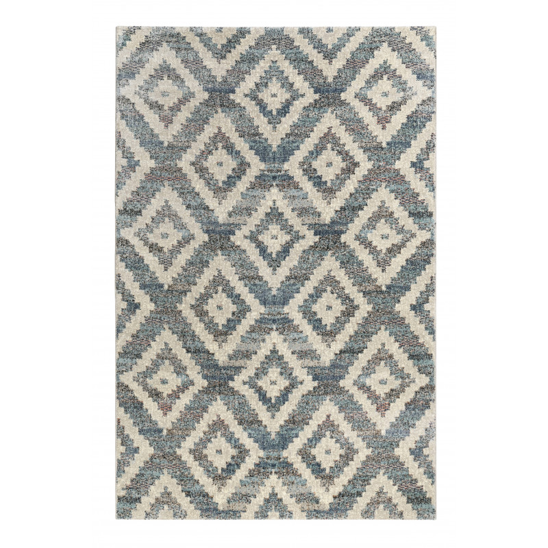 Tapis de Salon Bleeu Passion 2.