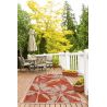 Tapis d'Extérieur Collection Tropical Palms Orange Tapis d'Extérieur Collection Tropical Palms Orange