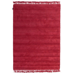 Tapis Rouge Design Couleurs Vives Tapis Chic