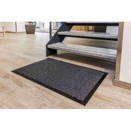 Tapis d'Entrée，Tapis de Porte, Gris 60x90 cm