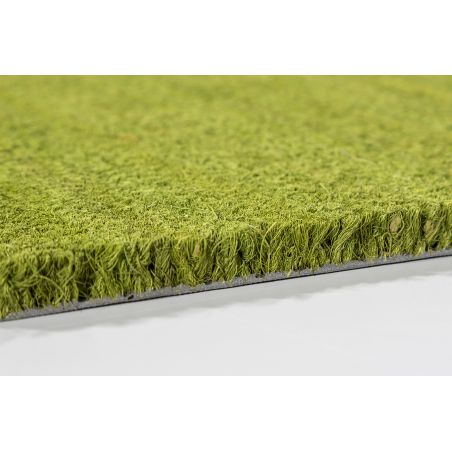 Tapis d'entrée en coco vert Tapis d'entrée en coco vert