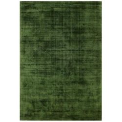 Tapis de salon moderne en viscose Elizabeth vert