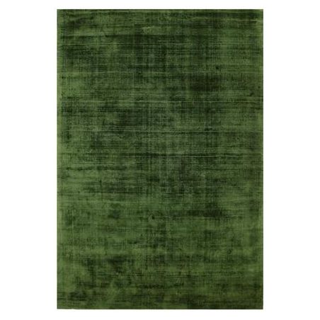 Tapis de salon moderne en viscose Elizabeth vert