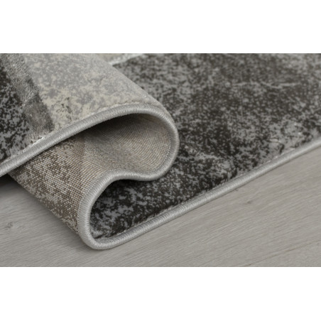 Tapis Moderne Zeta Argent Tapis Moderne Zeta Argent