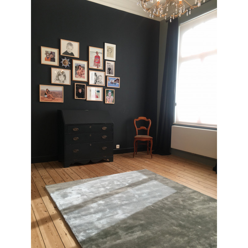 Tapis de salon en viscose Annapurna Gris souris