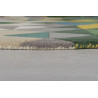 Tapis coloré Rond en pure Laine Multicolore Prism Tapis coloré Rond en pure Laine Multicolore Prism