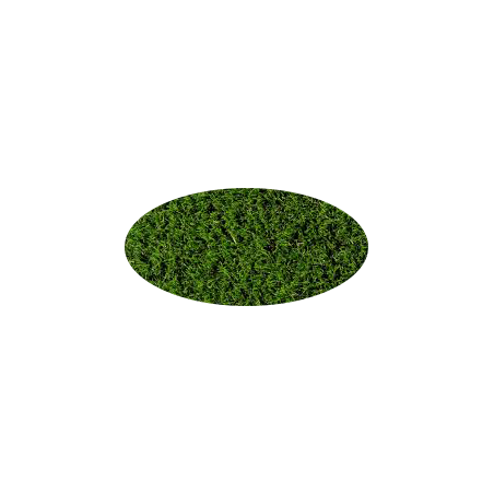 Tapis gazon d'Extérieur ovale sur mesure Amazonas par Golze Tapis gazon d'Extérieur ovale sur mesure Amazonas par Golze