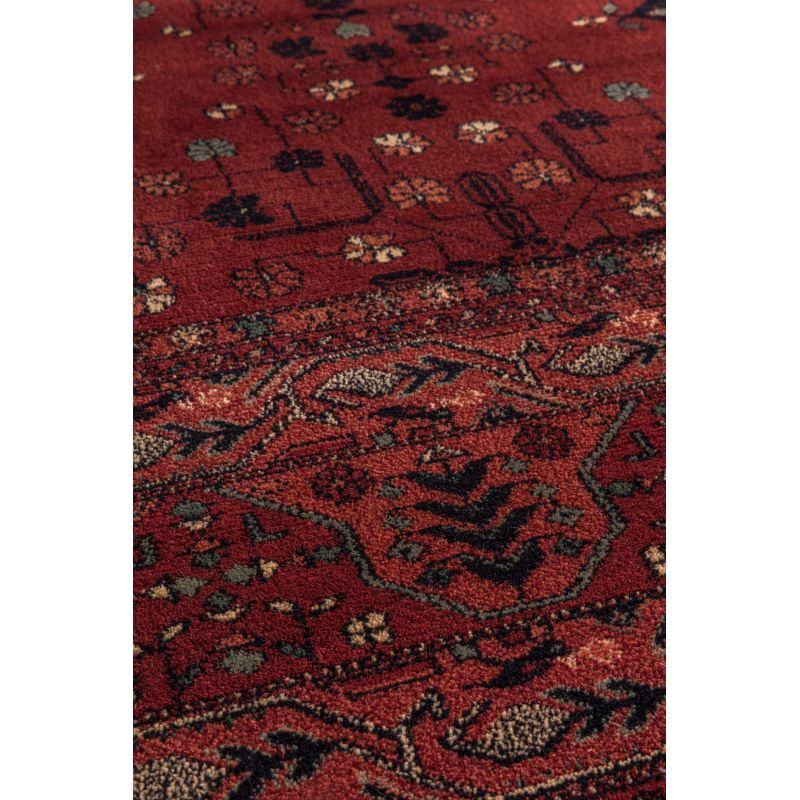 Tapis haut de gamme Orion pure laine dessins orientaux avec bordure rouge et bleu