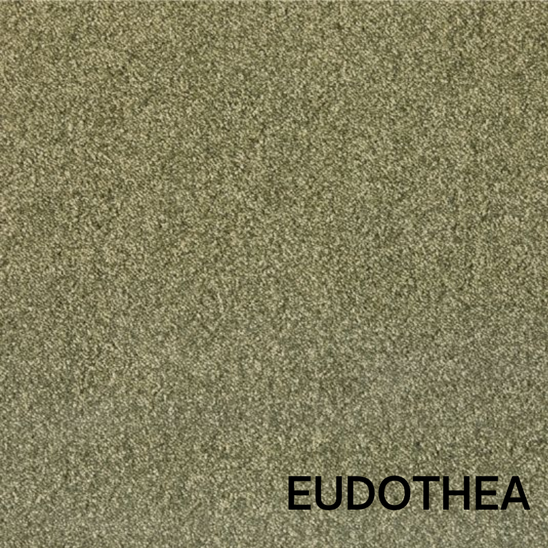 EUDOTHEA