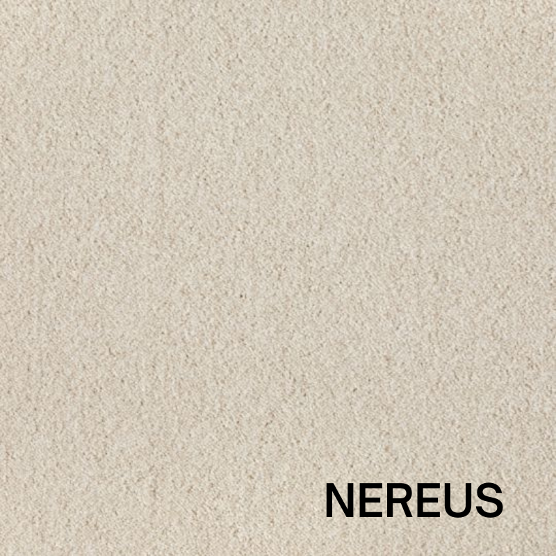 NEREUS