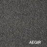 AEGIR