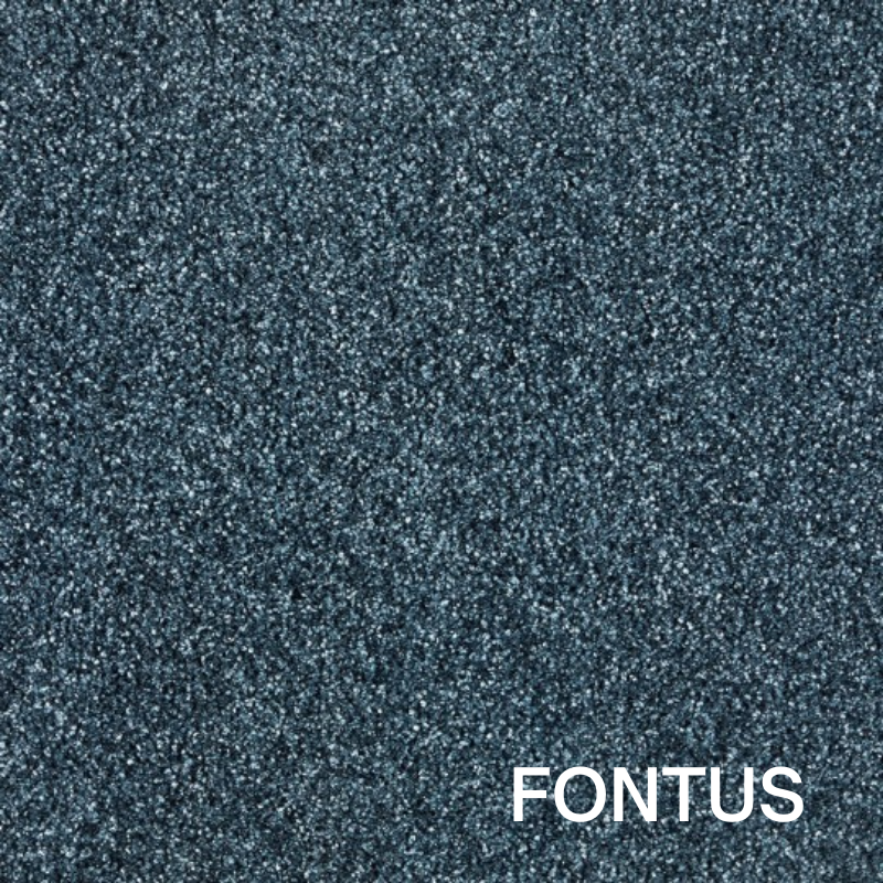 FONTUS