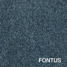 FONTUS
