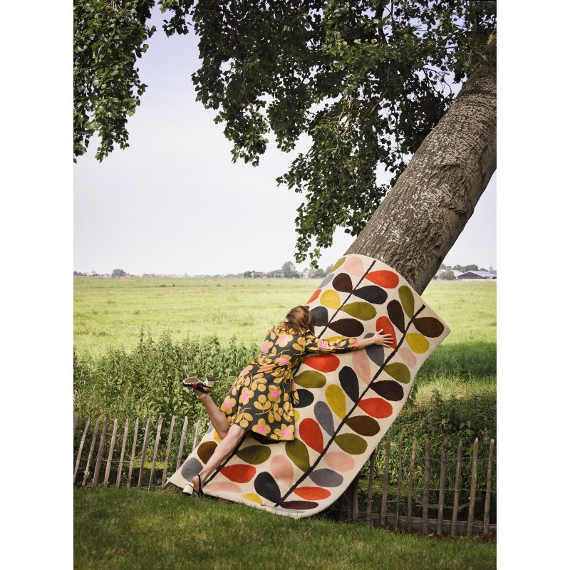 photo d'ambiance classic stem en laine