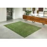 Tapis de salon design en polyester Trammel Alta Vert salon