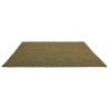 Tapis indoor/outdoor 100% PET recyclé Lace vert pin et vert thym