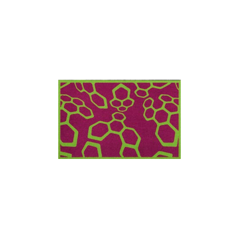 Tapis d'Entrée Design Violet et Vert