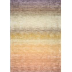 Tapis de salon haut de gamme en laine et viscose Desert multicolore