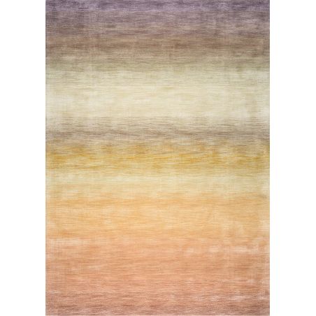 Tapis de salon haut de gamme en laine et viscose Desert multicolore