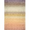 Tapis de salon haut de gamme en laine et viscose Desert multicolore
