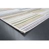 Tapis d'extérieur en polypropylène motif ligne Asha multicolore