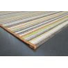 Tapis d'extérieur en polypropylène motif ligne Dena multicolore