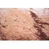 Tapis de Salon Design rectangulaire haut de gamme Tandoorie rouille détail couleur