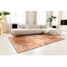 Tapis de Salon rectangulaire haut de gamme Virgin Land Mars rouille ambiance