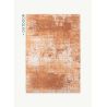 Tapis de Salon rectangulaire haut de gamme Virgin Land Mars rouille