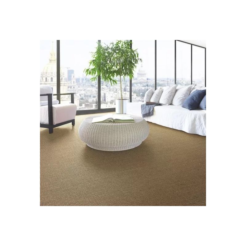 Tapis sur mesure en Sisal avec ganse beige (02) Taille 230 x 400 cm
