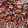 Tapis de salon à motifs persans rouge Sandford détail
