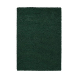 Tapis moderne haut de gamme pure laine Décor Echo Vert