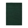 Tapis moderne haut de gamme pure laine Décor Echo Vert