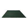 Tapis moderne haut de gamme pure laine Décor Echo Vert