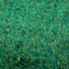 Tapis Shaggy Vert New Glamour par Esprit Home Tapis Shaggy Vert New Glamour par Esprit Home