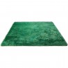 Tapis Shaggy Vert New Glamour par Esprit Home Tapis Shaggy Vert New Glamour par Esprit Home