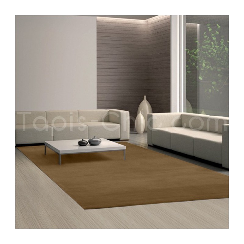 Tapis Uni Moderne Spirit Beige & brun  rectangulaire par Arte Espina