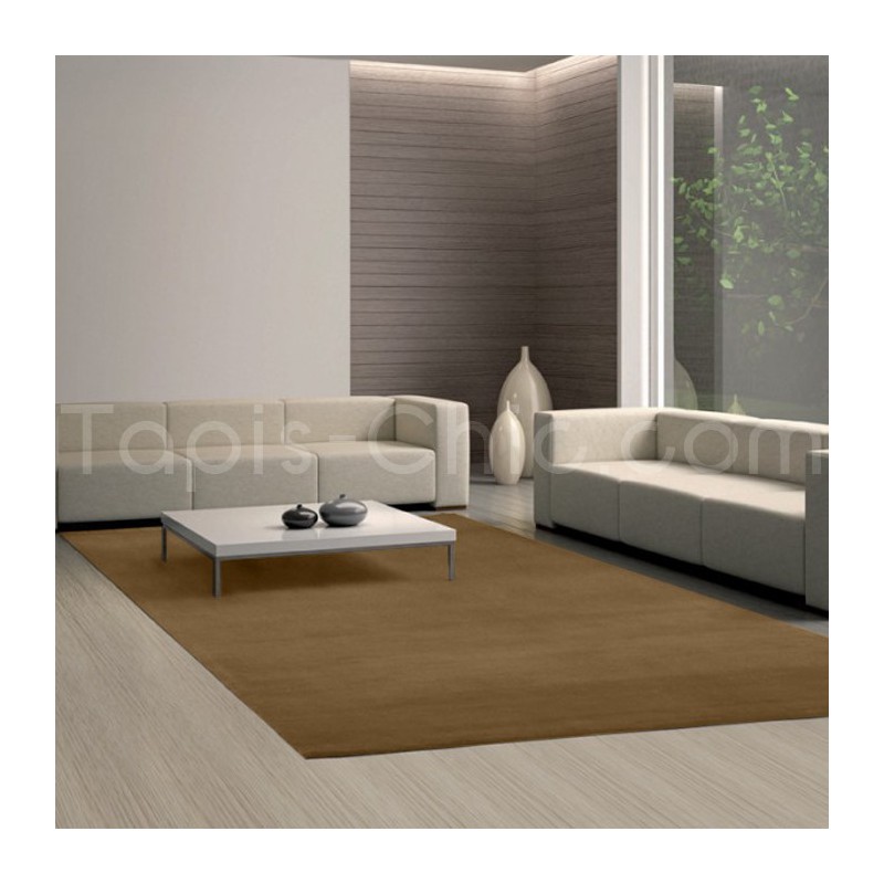 Tapis Uni Moderne Spirit Marron Café Rectangulaire - ARTE ESPINA