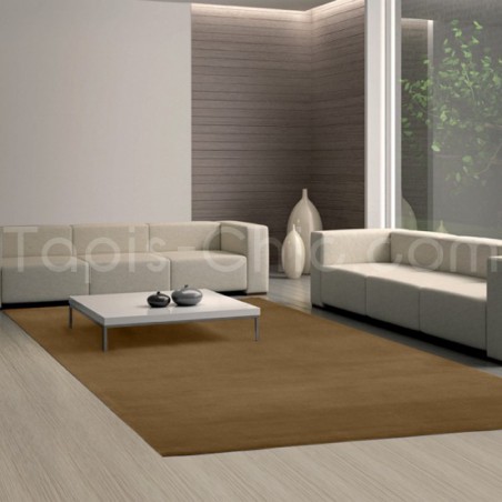 Tapis Uni Moderne Spirit Beige & brun rectangulaire par Arte Espina Tapis Uni Moderne Spirit Beige & brun rectangulaire par Arte Espina