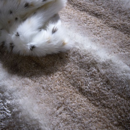 Tapis de Salon en Relief Gobi Beige par Home Spirit Tapis de Salon en Relief Gobi Beige par Home Spirit