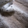 Tapis de Salon en Relief Gobi Beige par Home Spirit Tapis de Salon en Relief Gobi Beige par Home Spirit