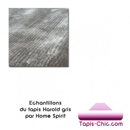 Echantillon du Tapis Harold Gris Echantillon du Tapis Harold Gris